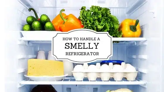 HOW-TO-HANDLE-A-2