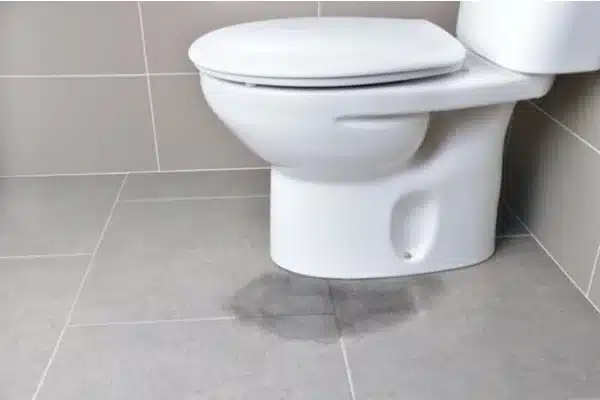 Toilet-overflow
