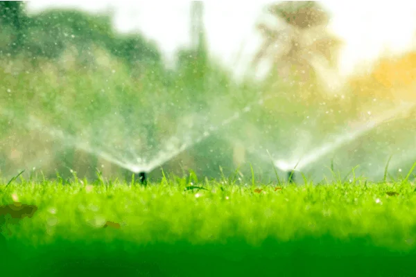 irrigation-system