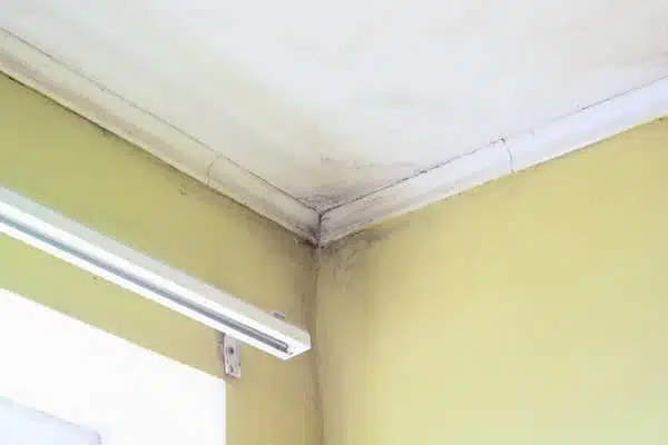 mold-corner