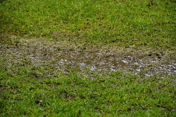 muddy-lawn