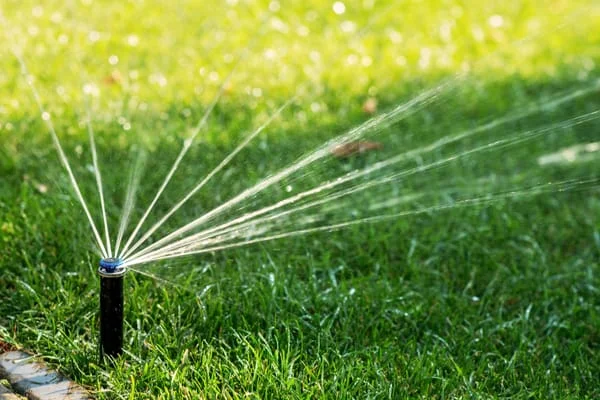 watering-lawns