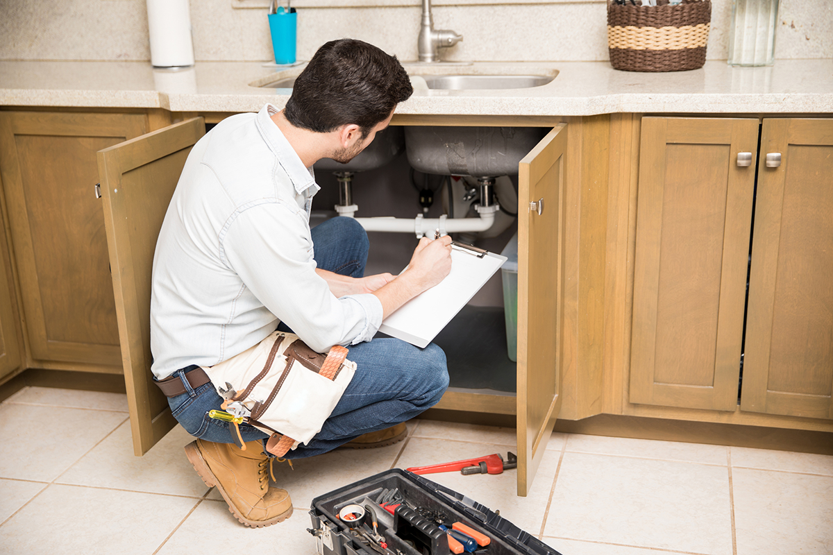 plumbing inspection sink inspection