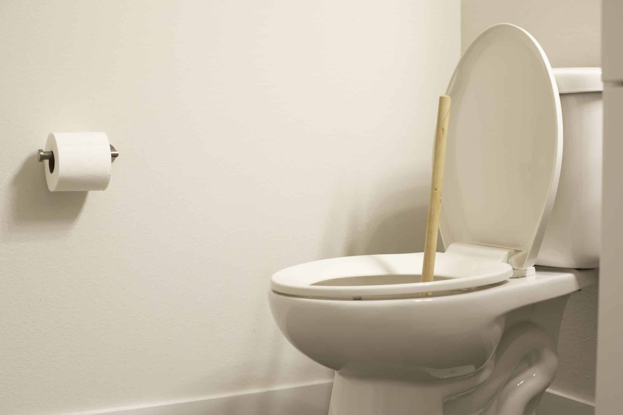 Plunger on toilet overflows.