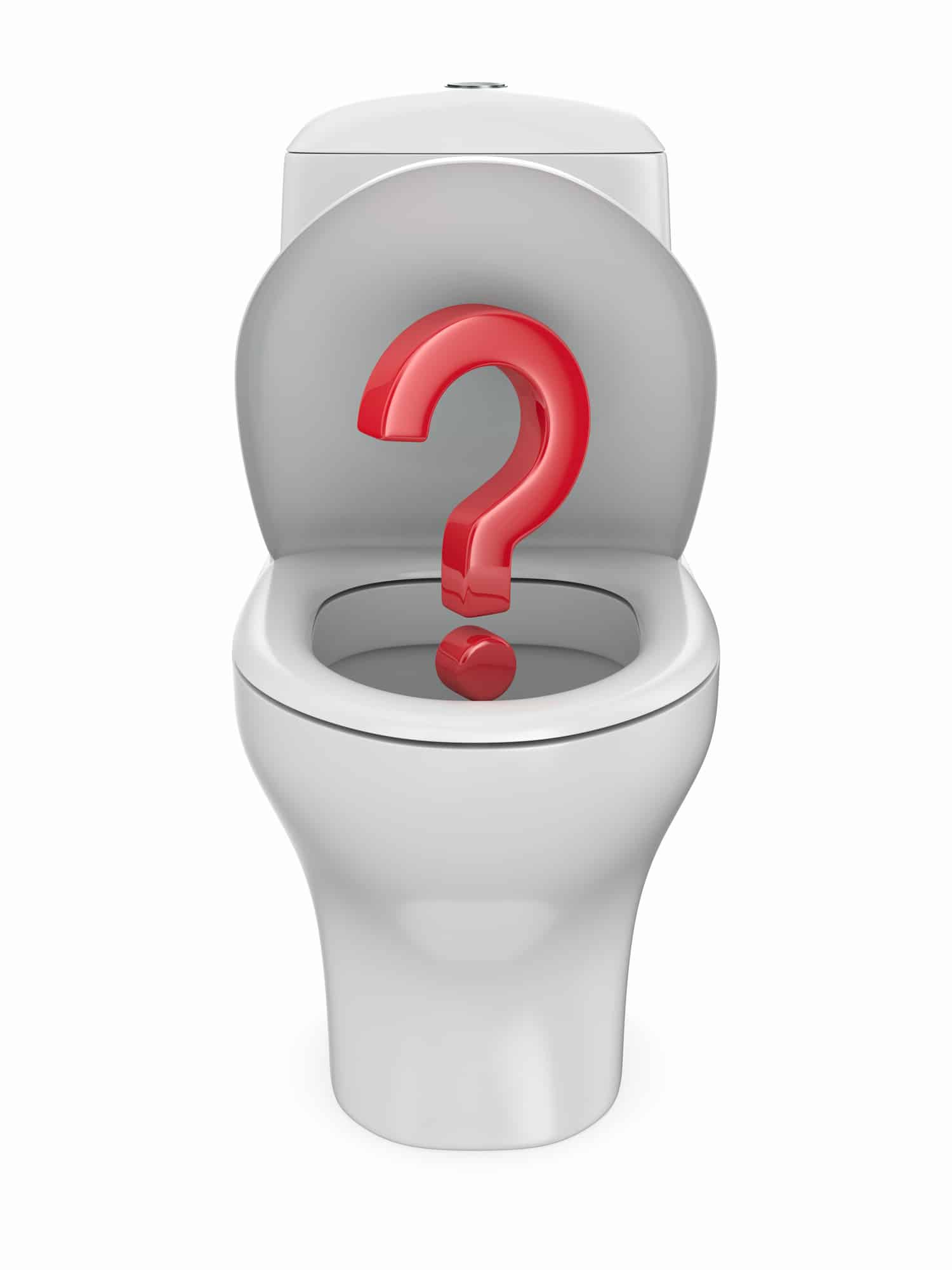 Toilet Leak FAQs.