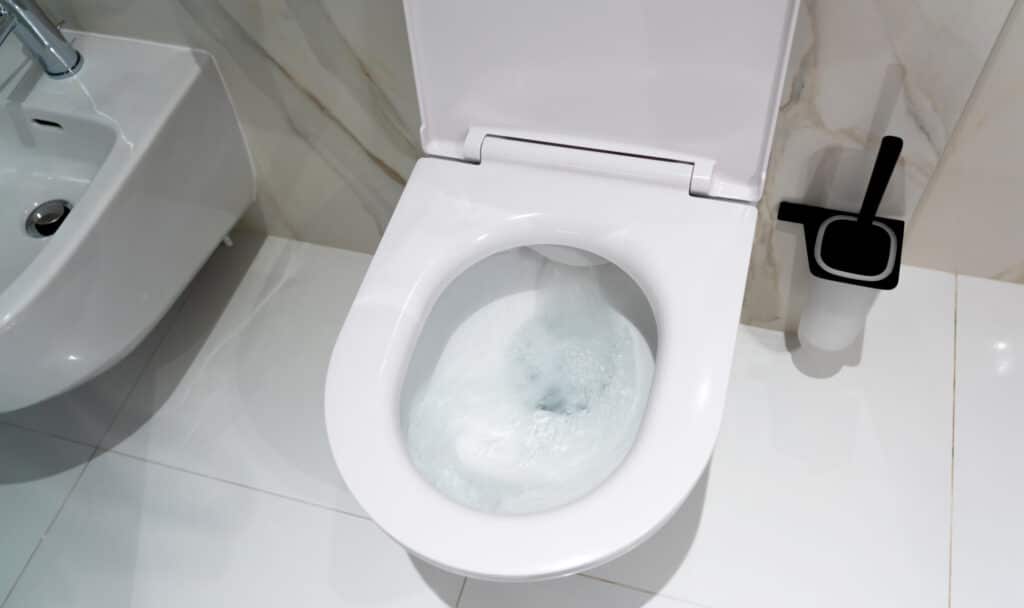 Low Flow Toilets