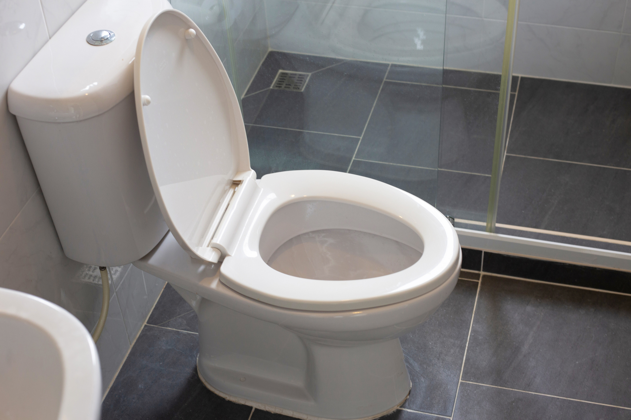 Low Flow Toilets