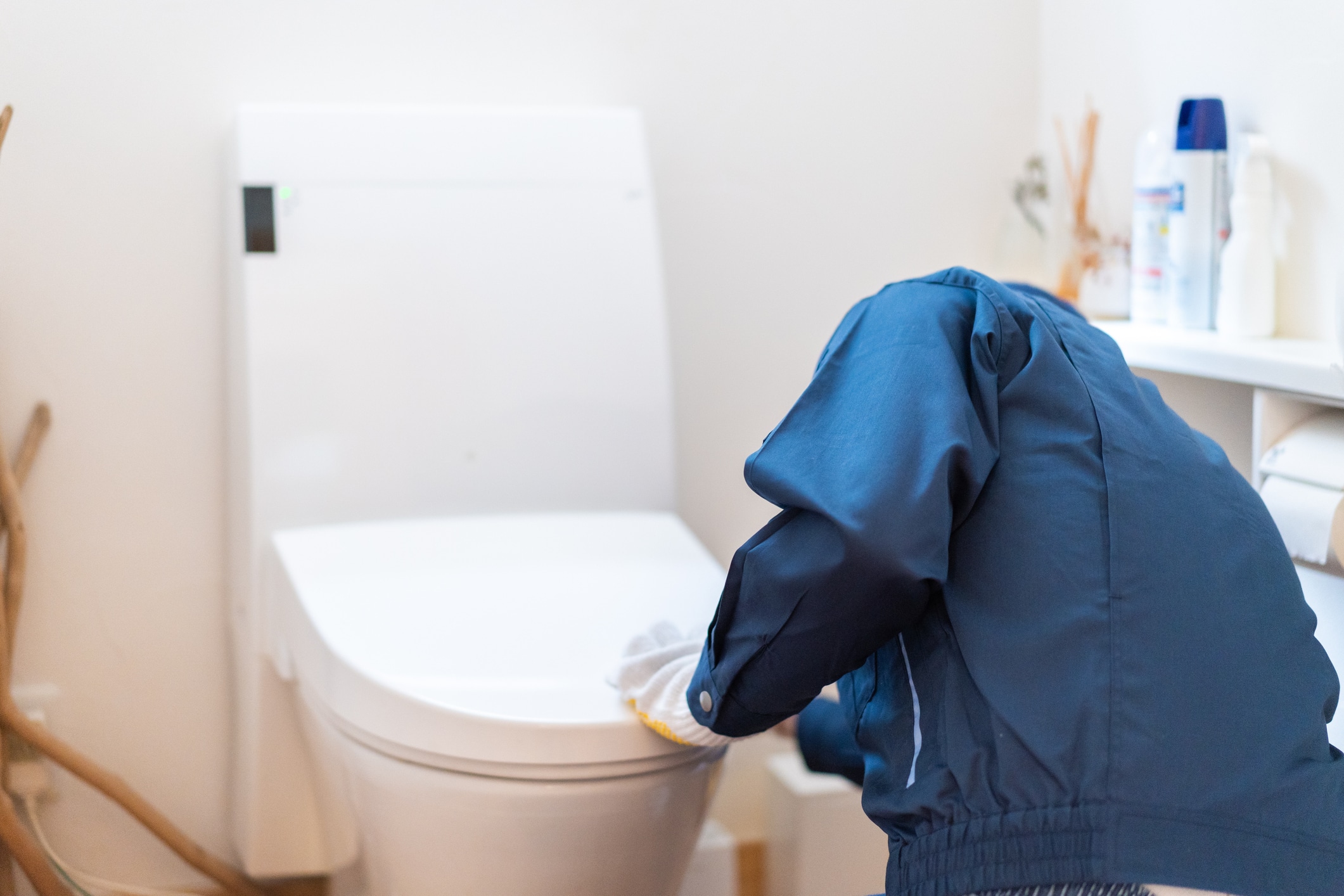 Smart Toilet Installation.