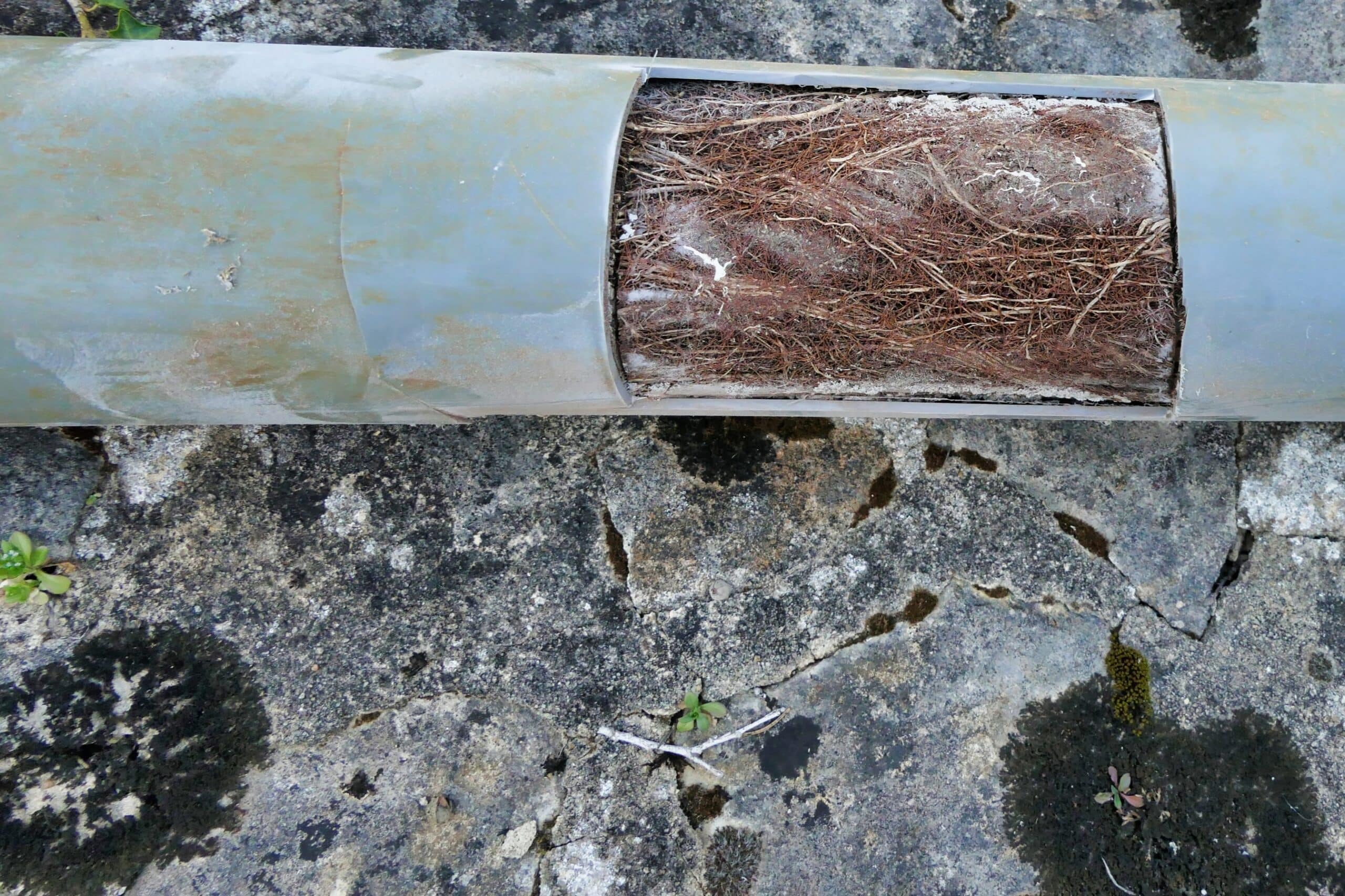 Sewer Line Blockages.