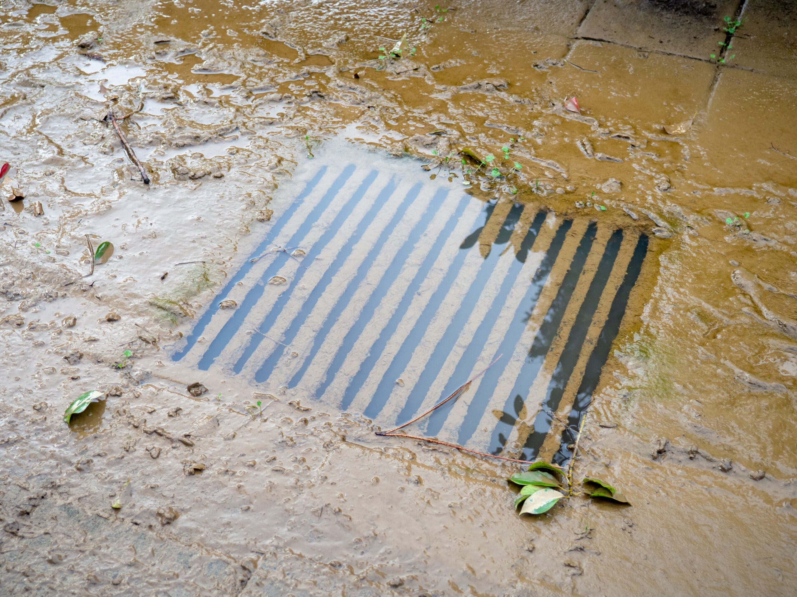 Clogged storm drain, Storm drain clearing.