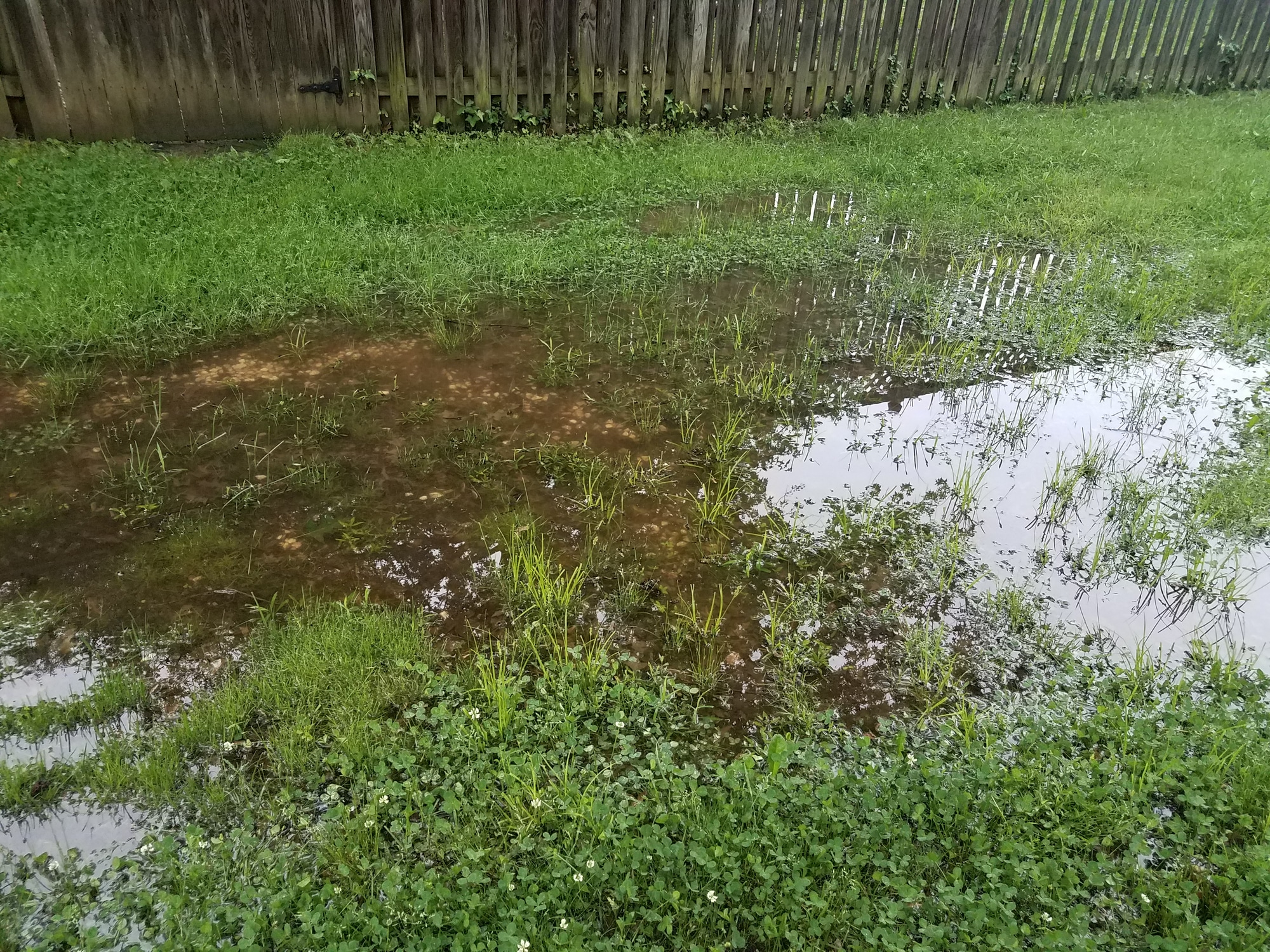 Water flooded yard, Water line replacement.