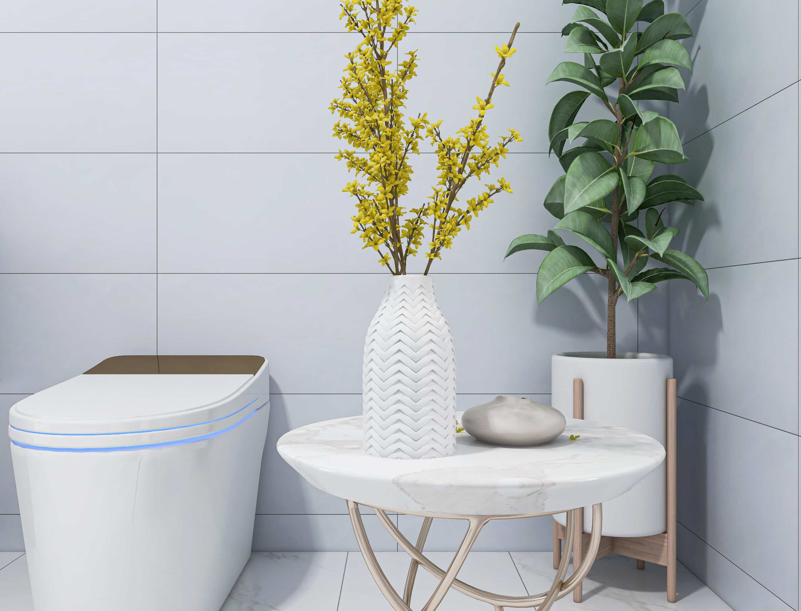 Touchless toilets, Cut Water Waste.