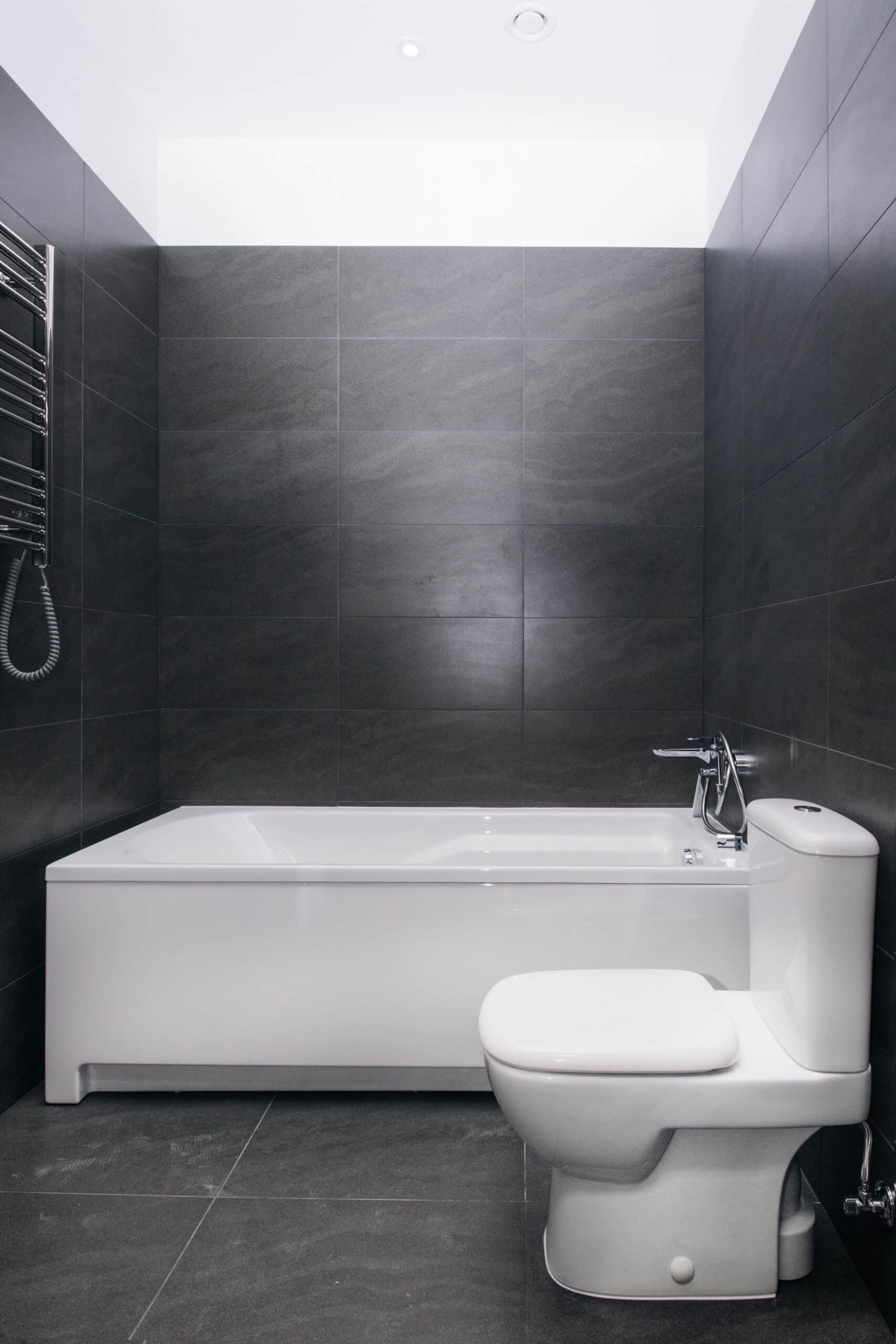 Toilet design, Toilet Replacement options.