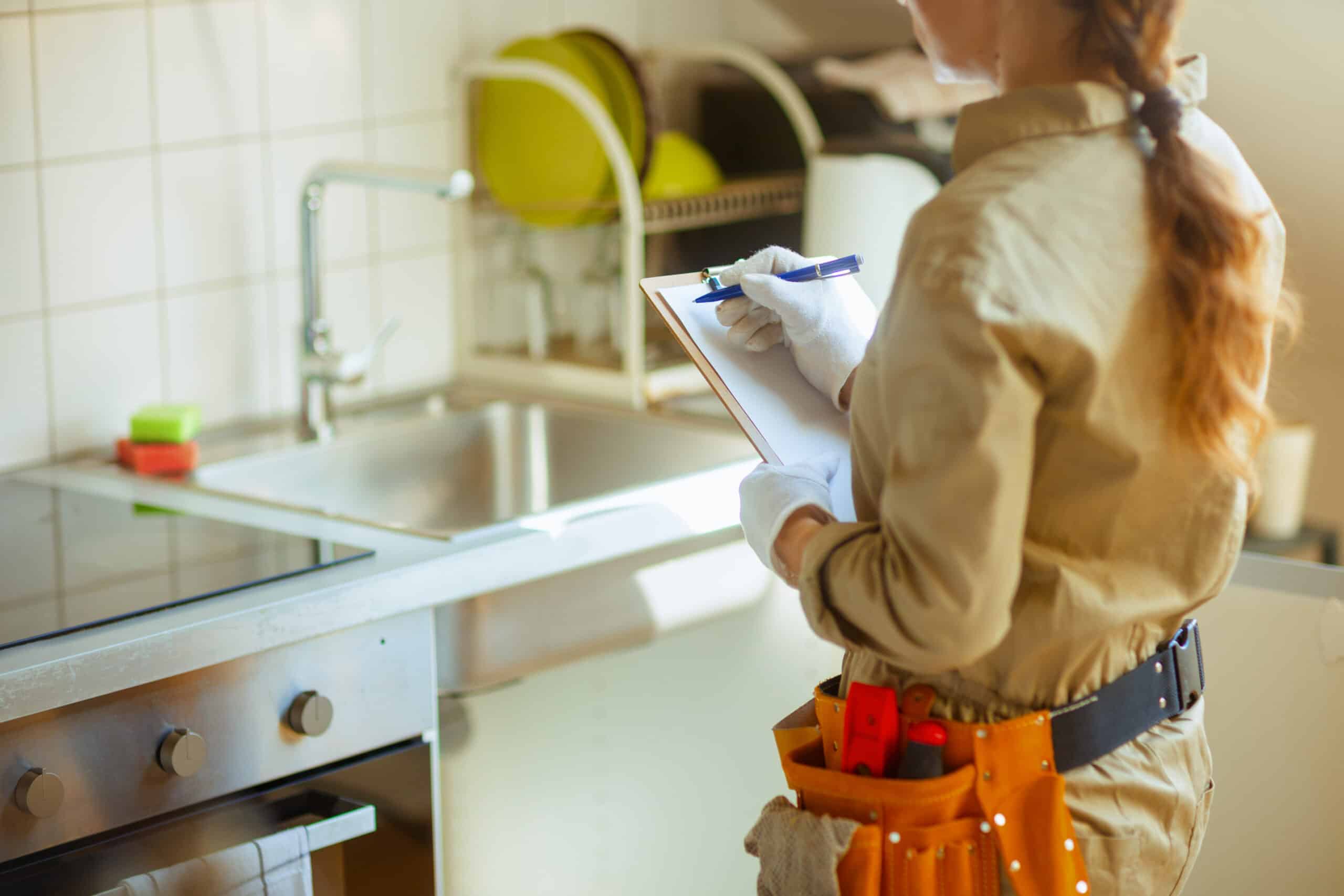 Professional plumbing inspections, Kitchen sink odors.