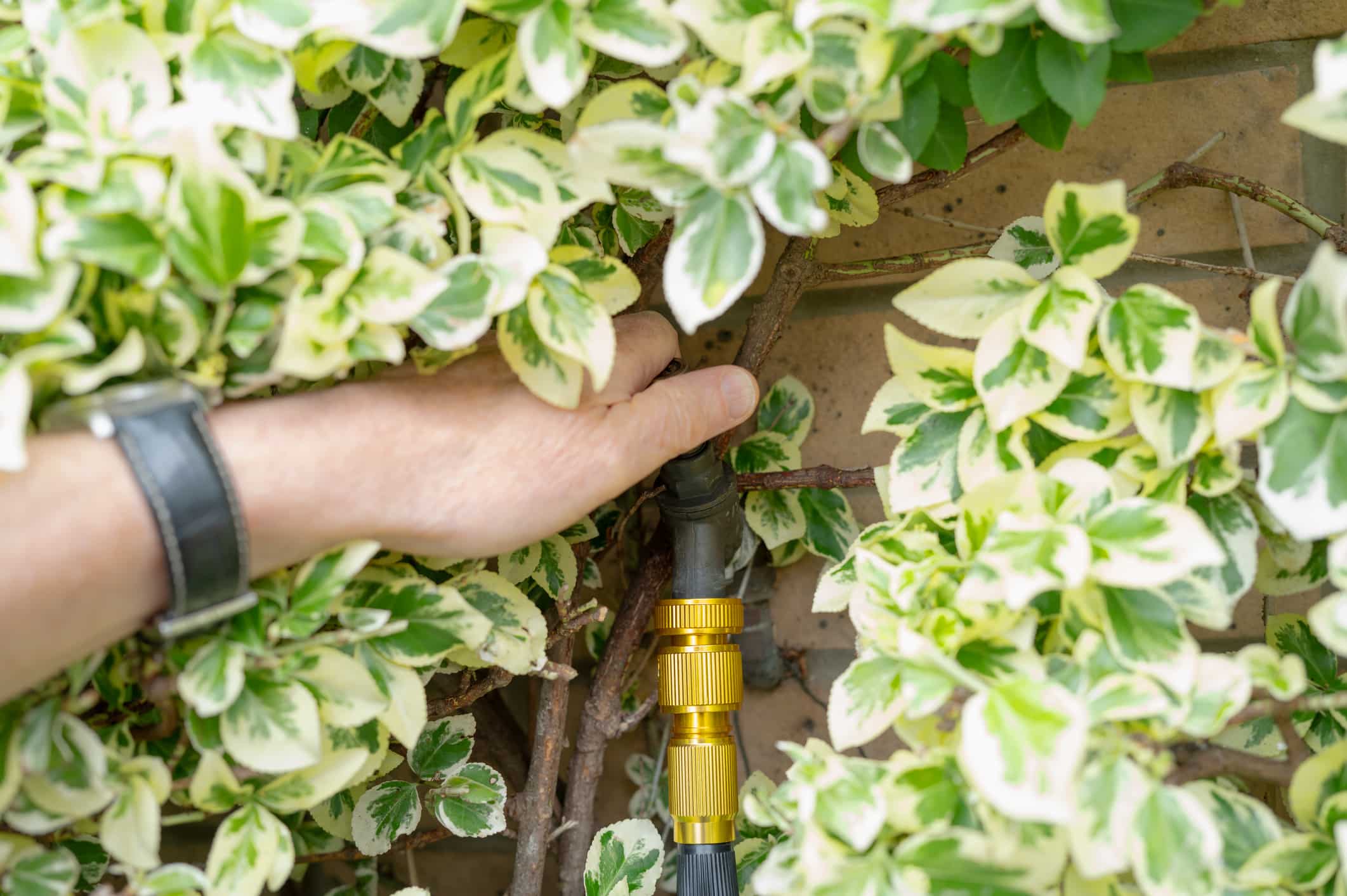 Shut off the water supply, Garden hose vacuum breaker.