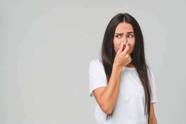 sewer line smells worse in summer