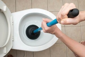 A person plunges their overflowing toilet.