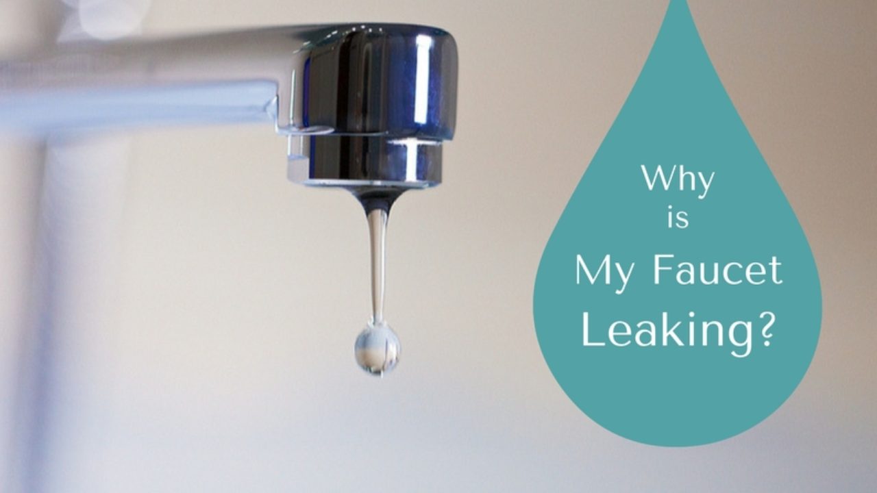 Why Is My Faucet Leaking Ben Franklin Plumbing